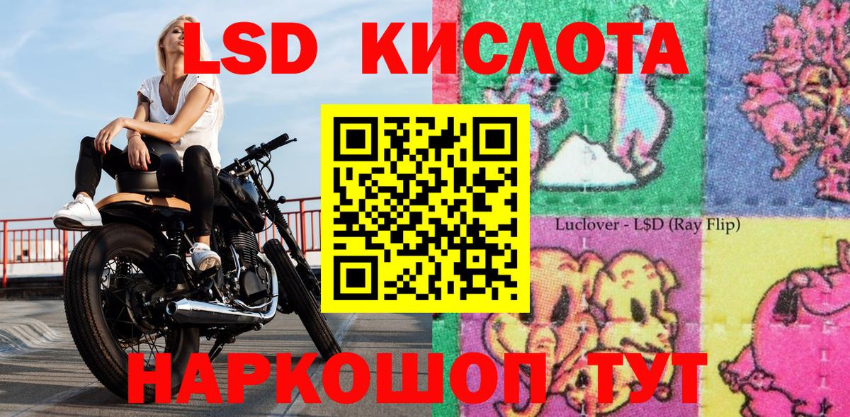 купить наркотик  Наркотические марки 1,8мг  Вход с VPN  Новоалтайск 